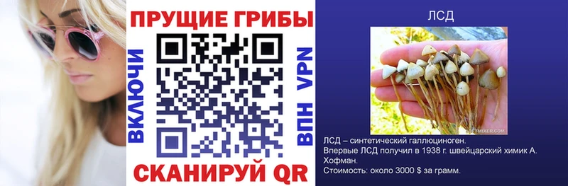 Псилоцибиновые грибы Cubensis  где найти наркотики  omg   Гуково 